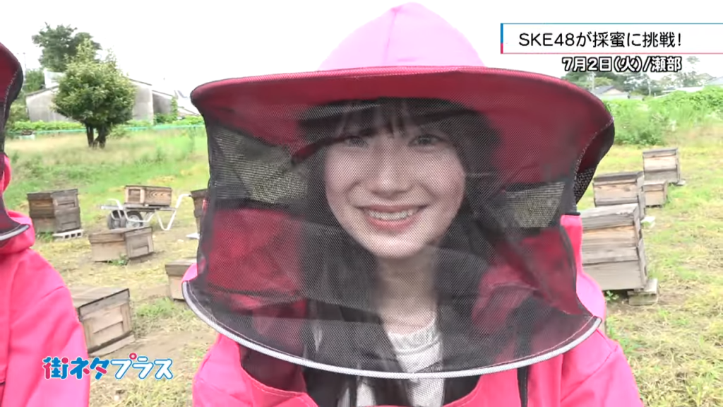 【動画】SKE48メンバーが採蜜に挑戦！街ネタプラス_2024年7月5日放送分動画公開！！