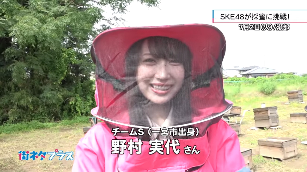 【動画】SKE48メンバーが採蜜に挑戦！街ネタプラス_2024年7月5日放送分動画公開！！