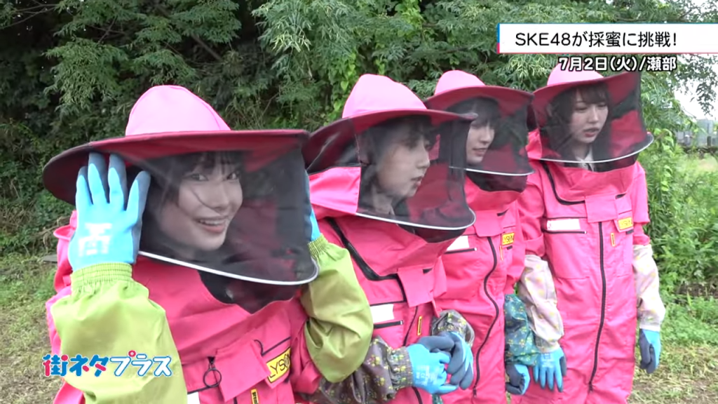 【動画】SKE48メンバーが採蜜に挑戦！街ネタプラス_2024年7月5日放送分動画公開！！