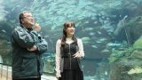 SKE48 鎌田菜月さん、水族館愛が一冊に、くもん出版から水族館の本を発売へ【2026年】