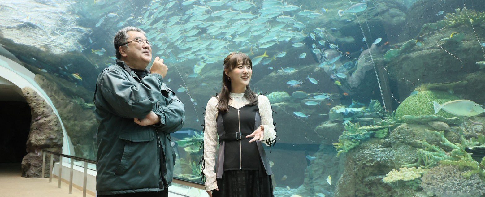 SKE48 鎌田菜月さん、水族館愛が一冊に、くもん出版から水族館の本を発売へ【2026年】